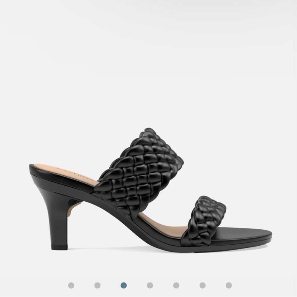 Pashion Footwear “The Slide” with 3” heel